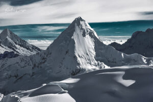 Gallery Thumbnail 0