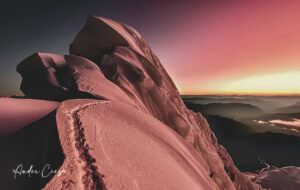 Gallery Thumbnail 0