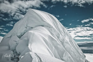 Gallery Thumbnail 5