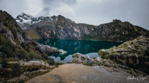 Gallery Thumbnail 12