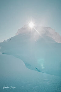 Gallery Thumbnail 7