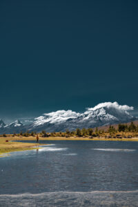Gallery Thumbnail 1