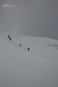 Gallery Thumbnail 14