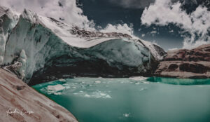 Gallery Thumbnail 1