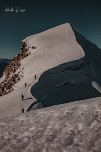 Gallery Thumbnail 8