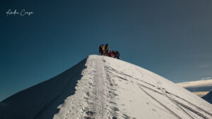 Gallery Thumbnail 6