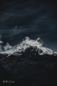 Gallery Thumbnail 2