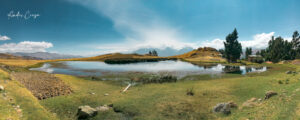 Gallery Thumbnail 8