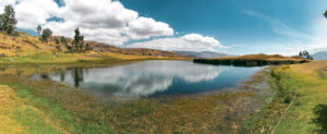 Gallery Thumbnail 6