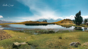 Gallery Thumbnail 0