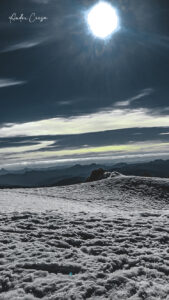 Gallery Thumbnail 5