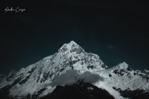 Gallery Thumbnail 7