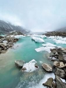 Gallery Thumbnail 2
