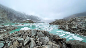 Gallery Thumbnail 0
