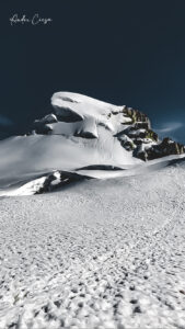 Gallery Thumbnail 3