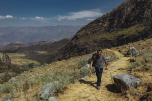 Gallery Thumbnail 5