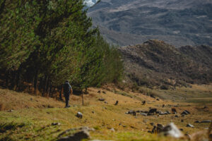 Gallery Thumbnail 3
