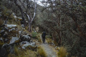 Gallery Thumbnail 1