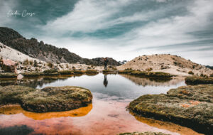 Gallery Thumbnail 0