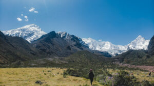 Gallery Thumbnail 1