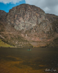 Gallery Thumbnail 11
