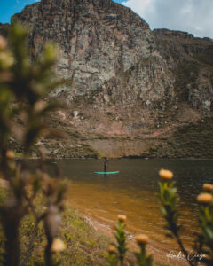 Gallery Thumbnail 2