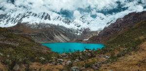 Gallery Thumbnail 7