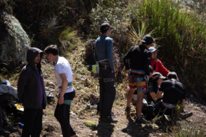 Gallery Thumbnail 11