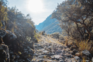 Gallery Thumbnail 3