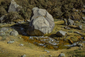 Gallery Thumbnail 4