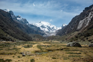Gallery Thumbnail 1